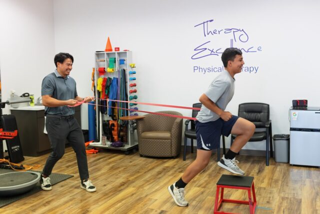 6837317ff974e293e61f6c1e_therapyexcellence-8 Large